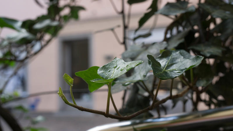 26021220gv.jpg