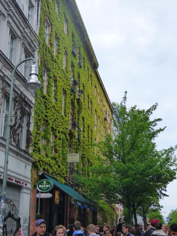 29077115mn.jpg