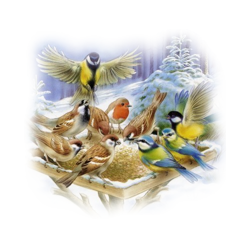 animaatjes-vogels-81765.png