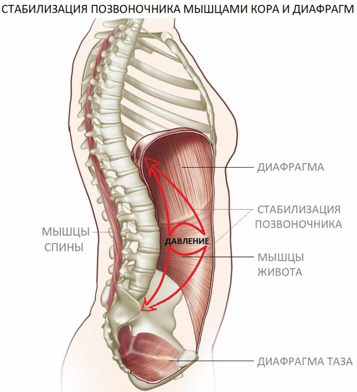 435028_800.jpg