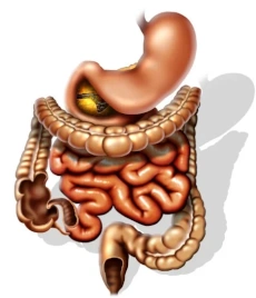 www.medicoconsult.de