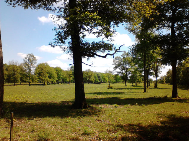 DSC00060.png
