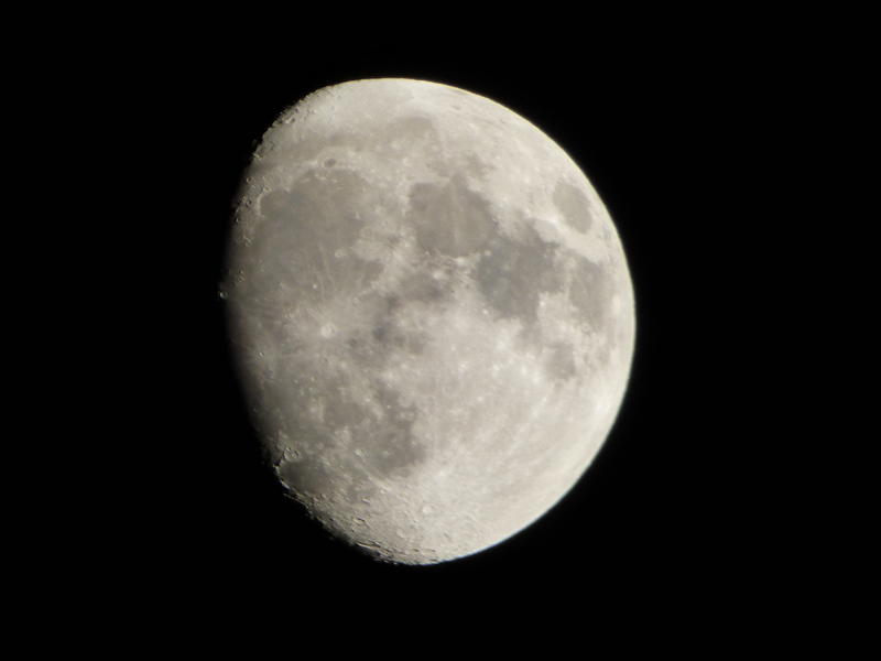 31388041mh.jpg