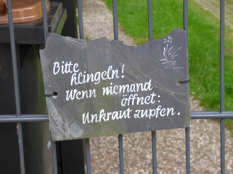 41715891vh.jpg