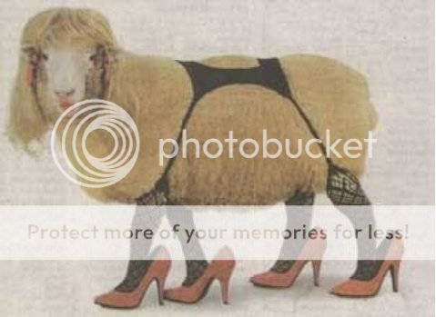 sexy_sheep.jpg
