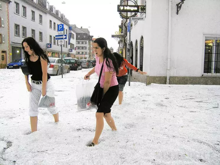 www.suedkurier.de