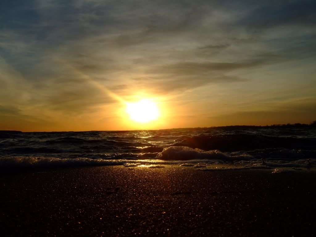 DSCF0737.jpg