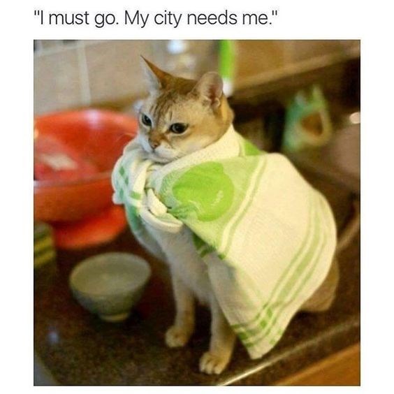 i-must-go