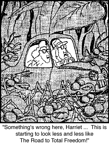 scs-00-cartoon.gif