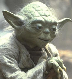 yoda.jpg