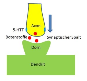 27265257dt.jpg