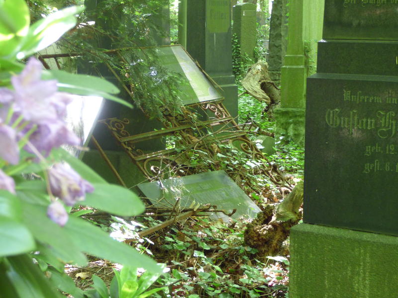29528345fm.jpg