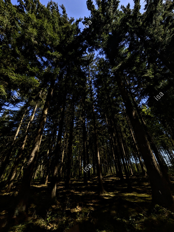 Photo-1777641173316.jpg