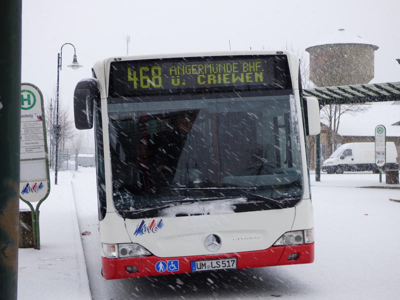 31727120tg.jpg
