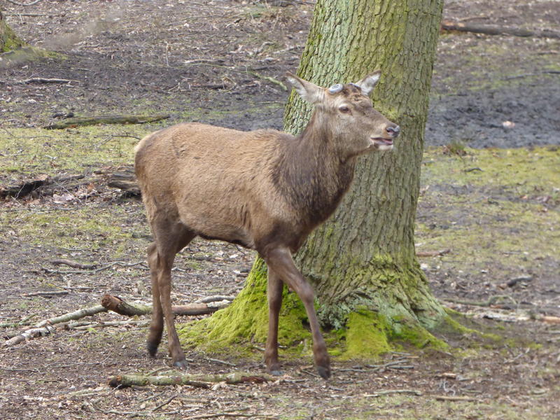 32197836wy.jpg