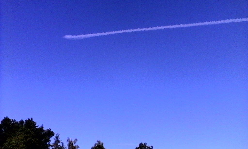 22965810hu.jpg