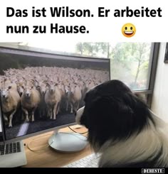 e9f10e1940356372b08ba967e49e36d3.jpg