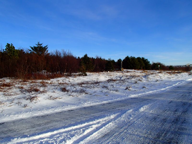 P2137983.jpg