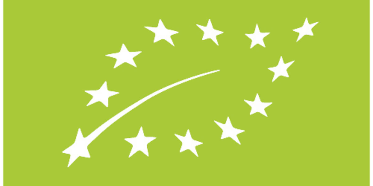 www.transgen.de