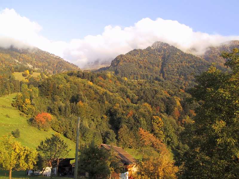 herbst11.jpg