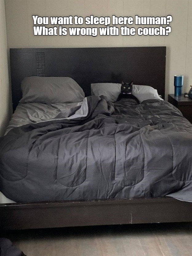 what-is-wrong-with-the-couch