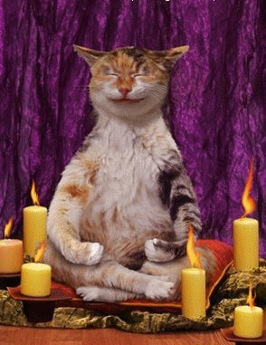 tmbjnq9ko03.gif
