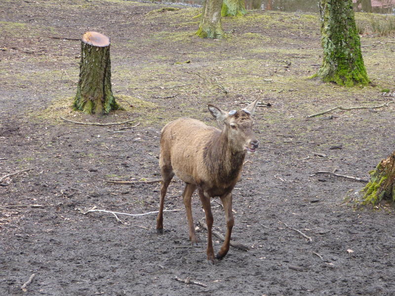 32197837tn.jpg