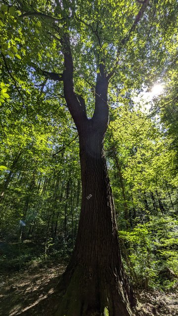 Photo-1724908744433.jpg