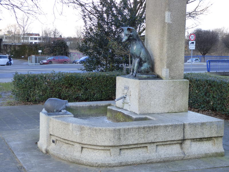 31930568ws.jpg