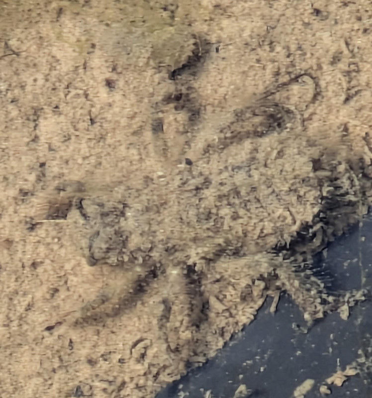 PXL-20250817-091749303-2.jpg