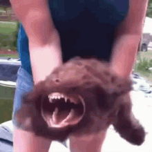dog-barking-angry-dog.gif