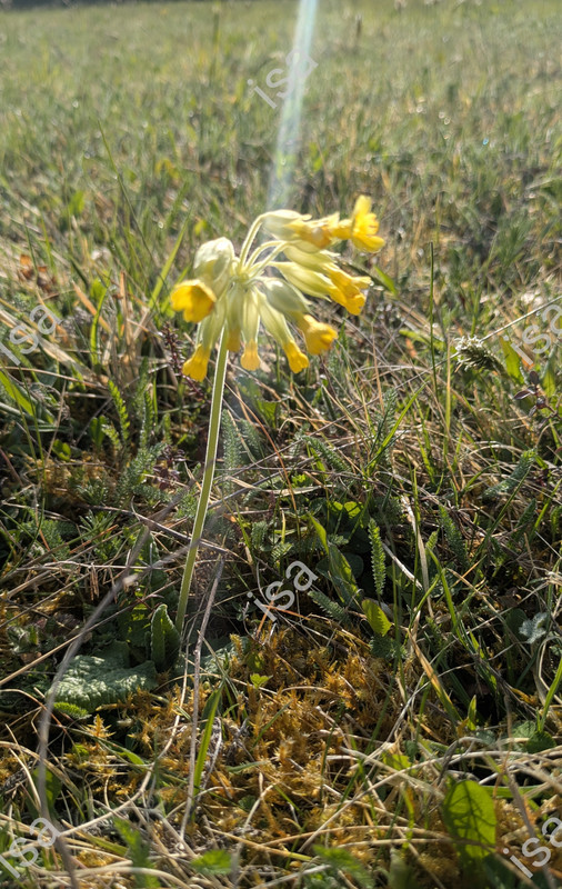 Photo-1744649677217.jpg