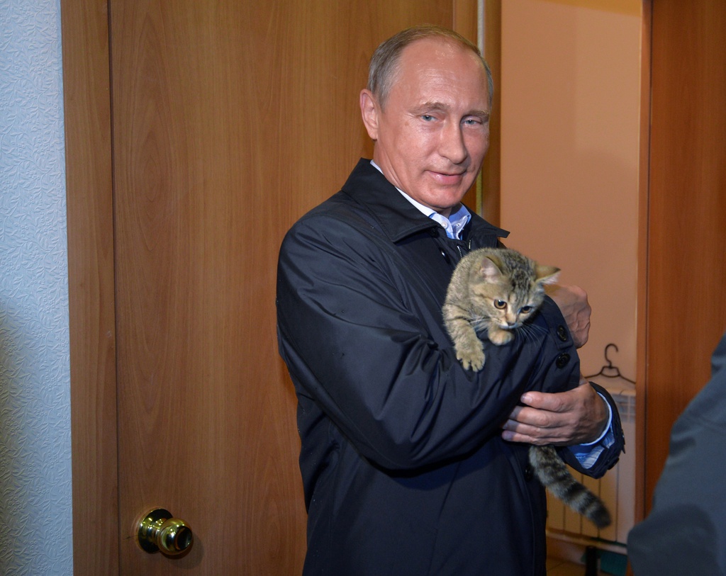 putin-kaetzchen.jpg
