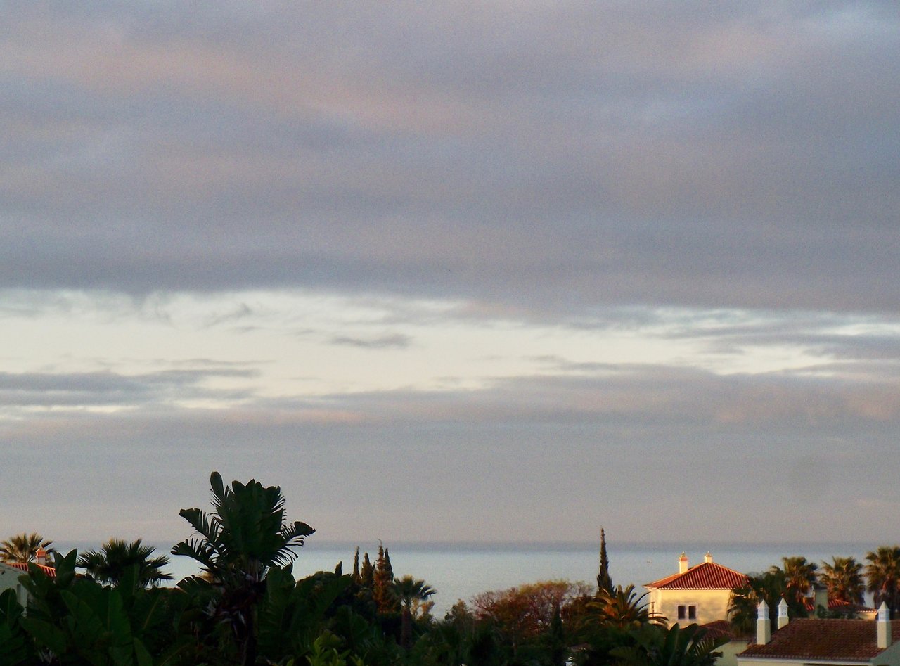 35698399cm.jpg