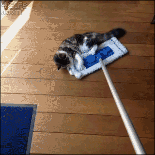 iigk6aggp0e.gif