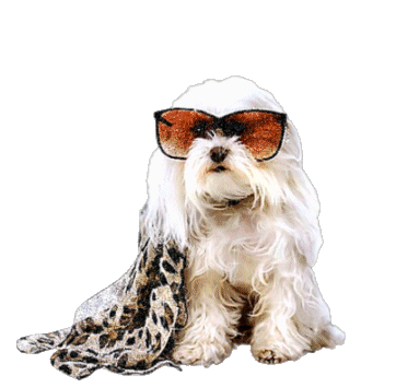 animaatjes-honden-81437.GIF