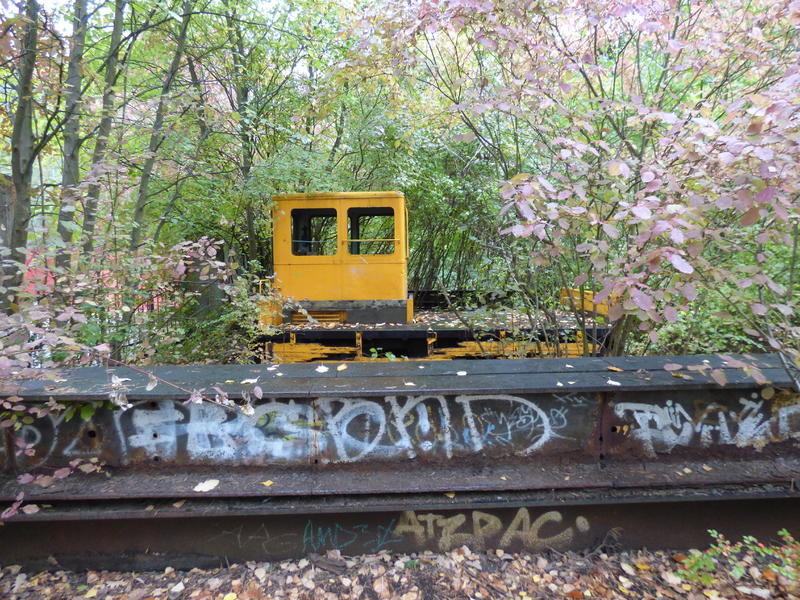 33985868wb.jpg