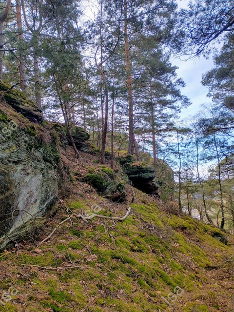 Photo-1709383476660.jpg