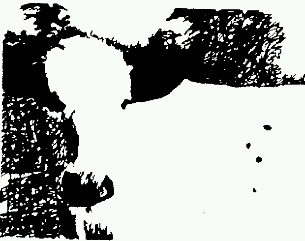img6.gif