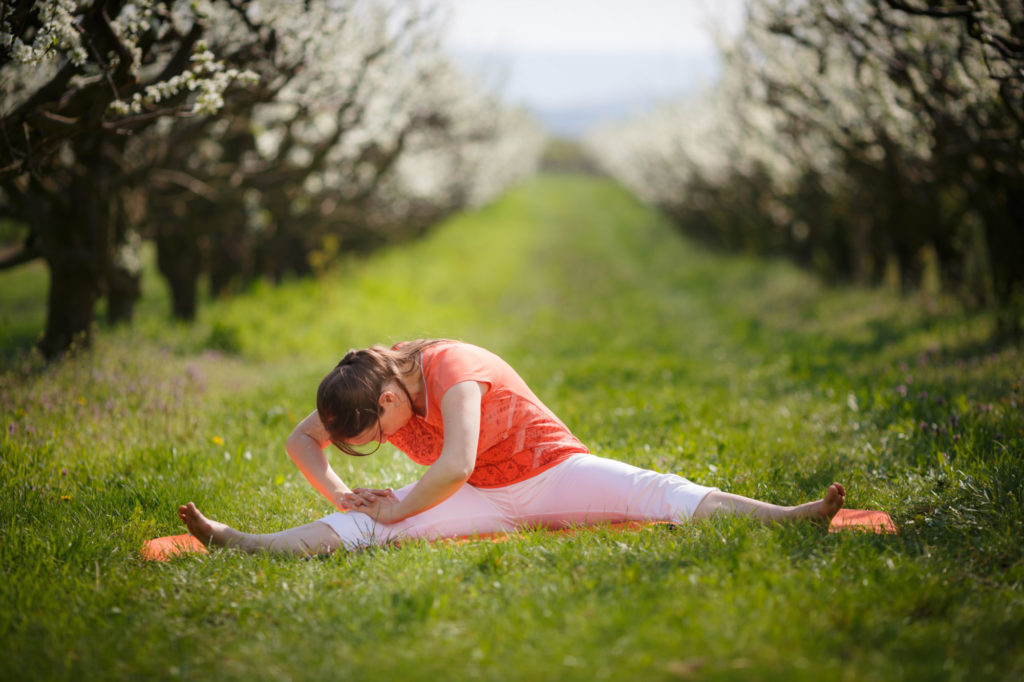 luna-yoga-tulln.at