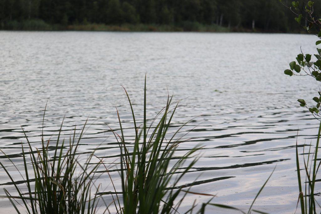 41747336zb.jpg