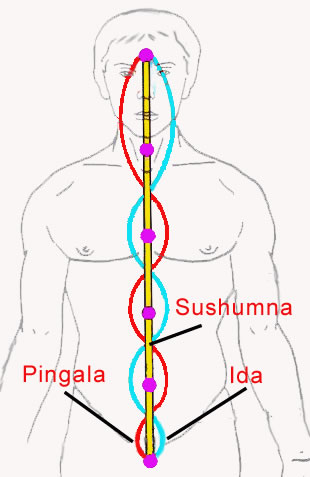 ida_pingala01.jpg
