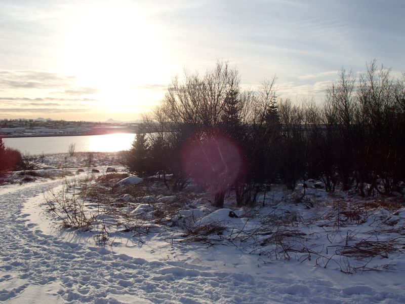 P2137996.jpg