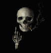Skull-11-june.gif