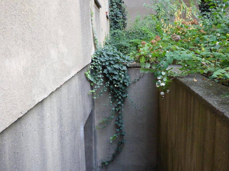 34100088du.jpg