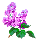047.gif