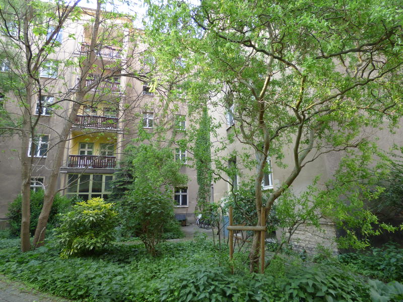 29256395jw.jpg