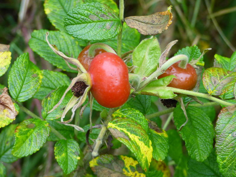 30654064ux.jpg