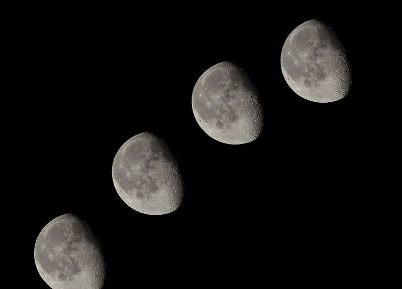 27435215lj.jpg