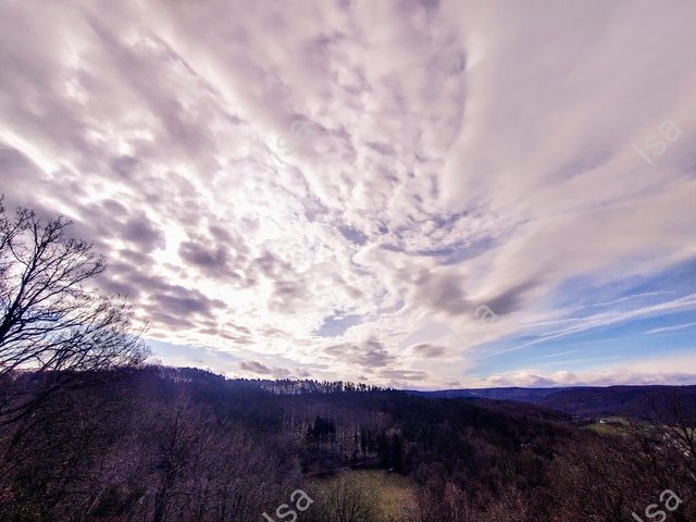 Photo-1709383785070.jpg